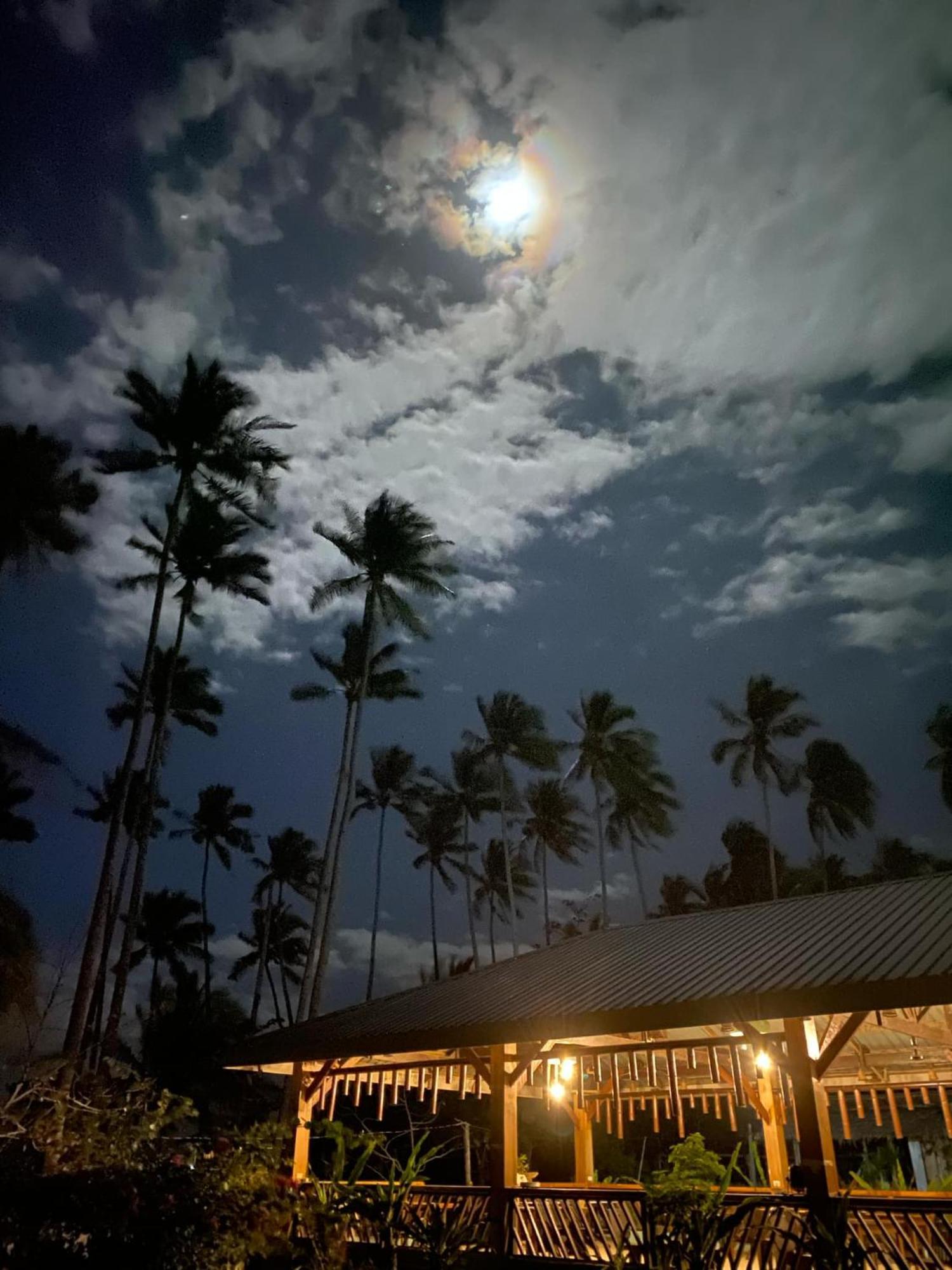 Amihan Beach Hostel San Vicente  Eksteriør bilde
