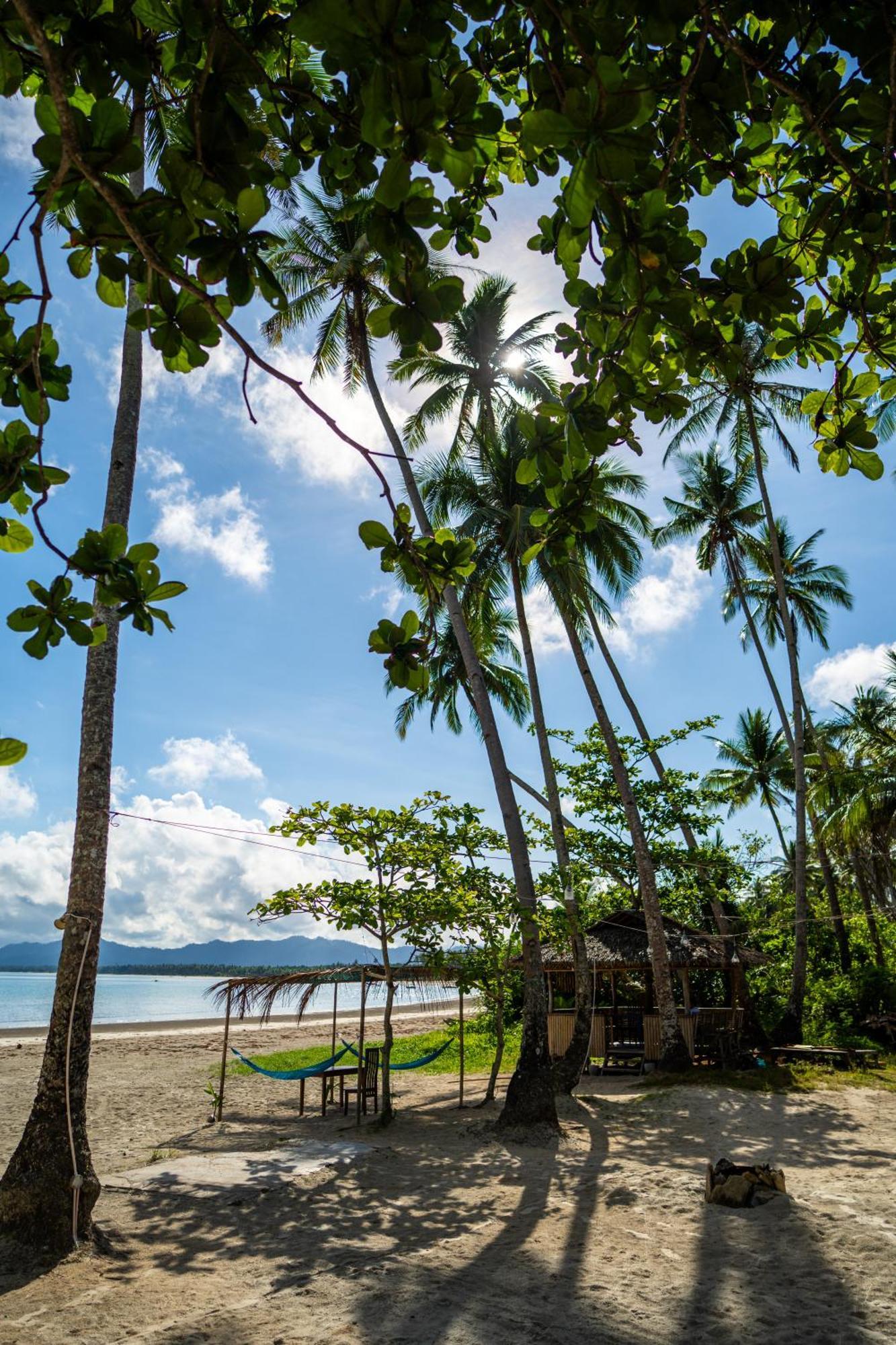 Amihan Beach Hostel San Vicente  Eksteriør bilde